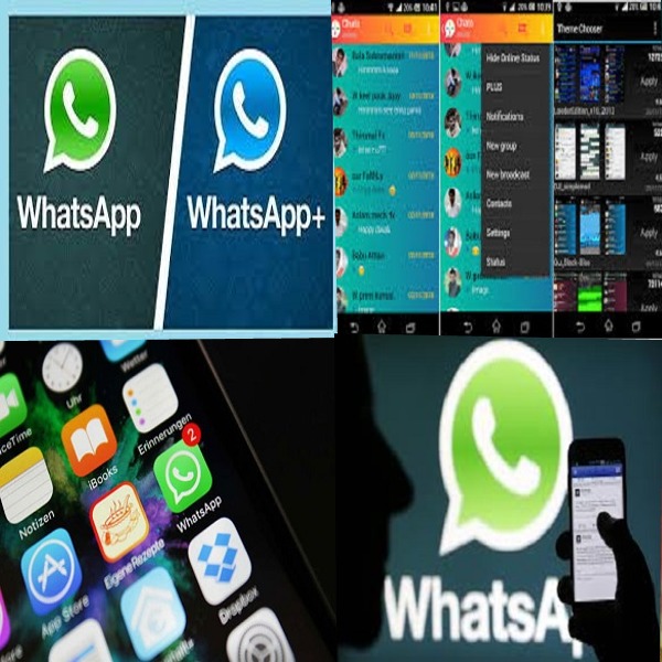 Korsan WhatsApp Kullanımı Her Geçen Gün Artıyor